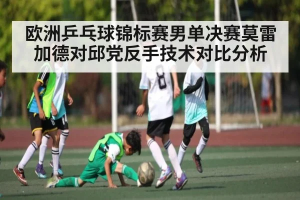 欧洲乒乓球锦标赛男单决赛莫雷加德对邱党反手技术对比分析